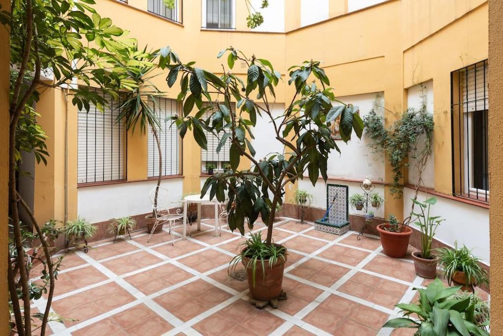 Mia Suite. Center Of Seville Sevilha Exterior foto